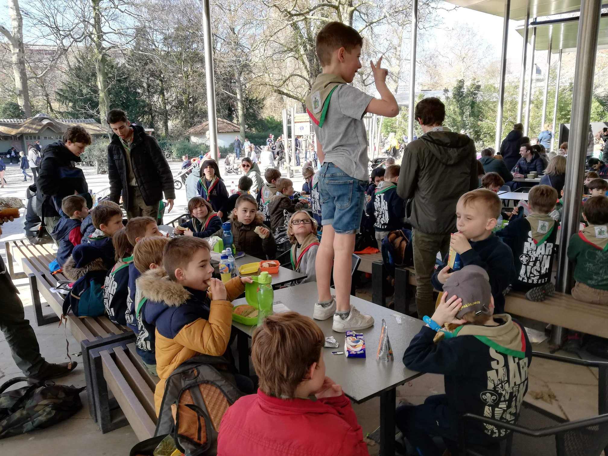 Sint-Martinus den XIIde - Zoo Antwerpen Kapoenen